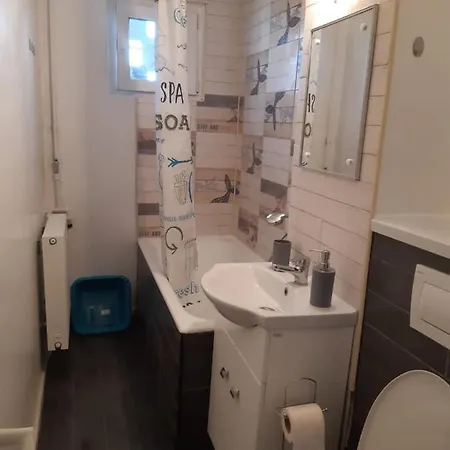 Apartamentul Lui Matei Apartment